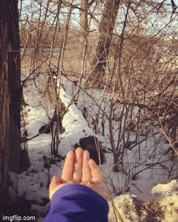 Acid GIFs, May 25 (25 gifs)