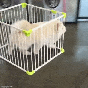 Acid GIFs, May 25 (25 gifs)