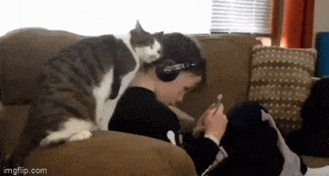 Acid GIFs, May 25 (25 gifs)