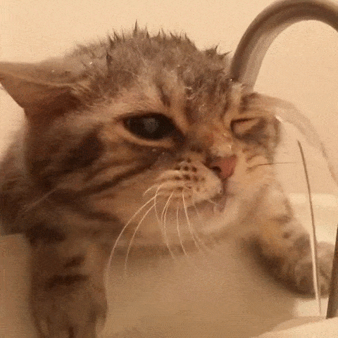 Acid GIFs, May 25 (25 gifs)