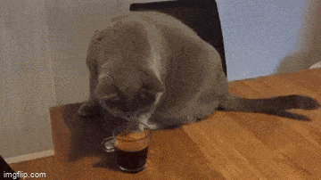Acid GIFs, May 25 (25 gifs)