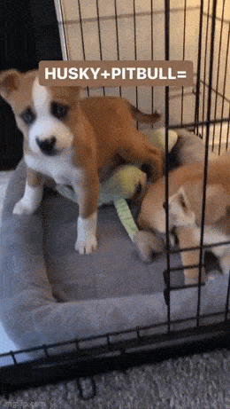 Acid GIFs, May 25 (25 gifs)