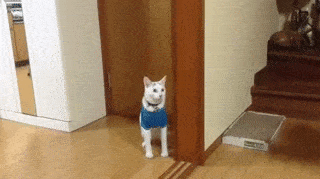 Acid GIFs, May 25 (25 gifs)