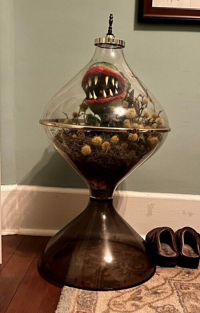 Strange Finds In Thrift Shops (29 pics)