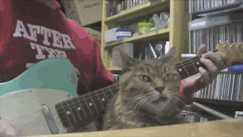 Acid GIFs, May 26 (25 gifs)