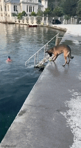 Acid GIFs, May 26 (25 gifs)