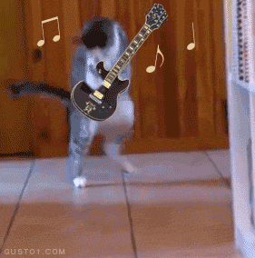 Acid GIFs, May 26 (25 gifs)