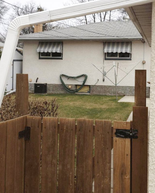 This Is Pareidolia (17 pics)