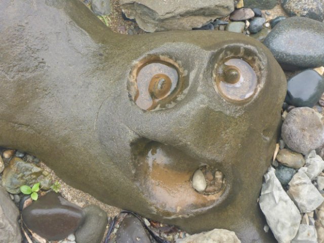 This Is Pareidolia (17 pics)