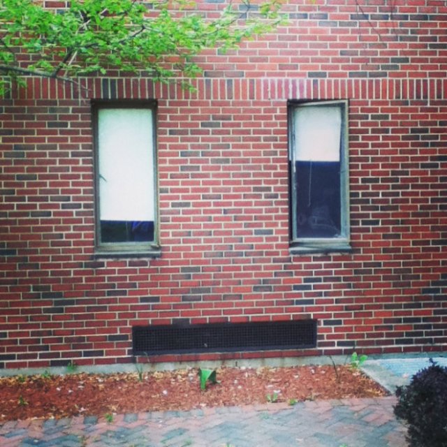 This Is Pareidolia (17 pics)