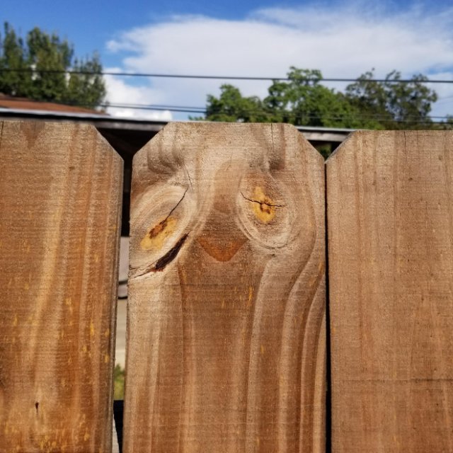 This Is Pareidolia (17 pics)