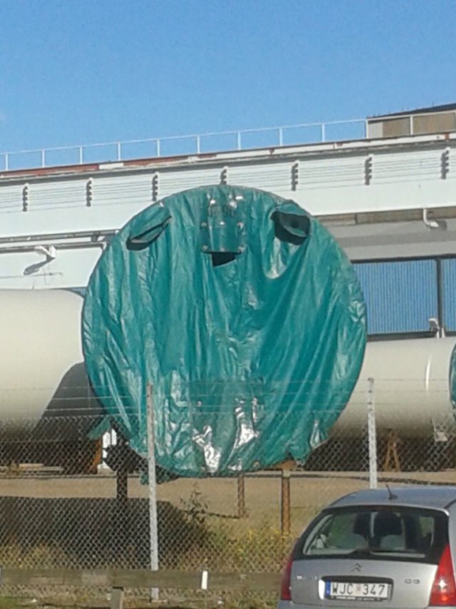 This Is Pareidolia (17 pics)