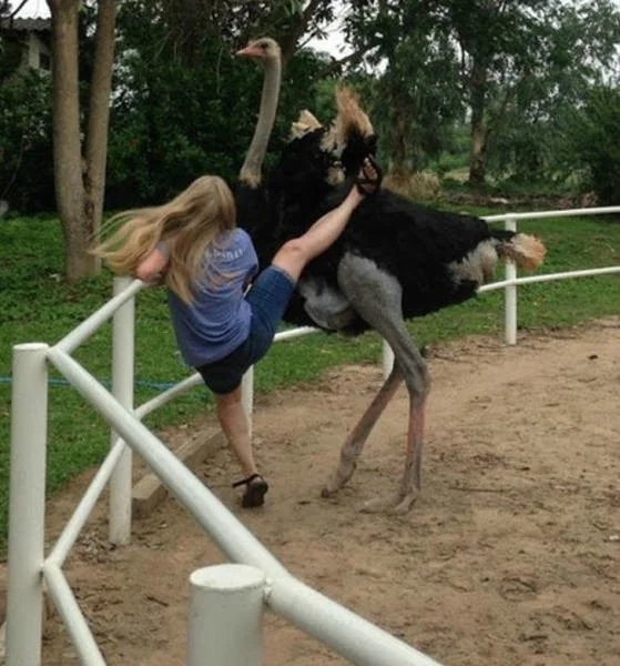 Right Moment (16 pics)
