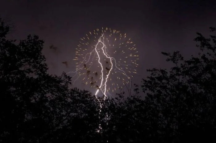 Right Moment (16 pics)
