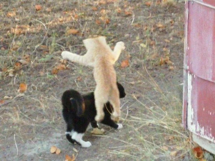 Right Moment (16 pics)