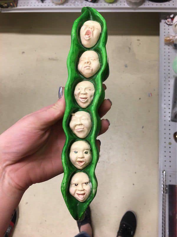 Odd Finds In Thrift Shops (15 pics)