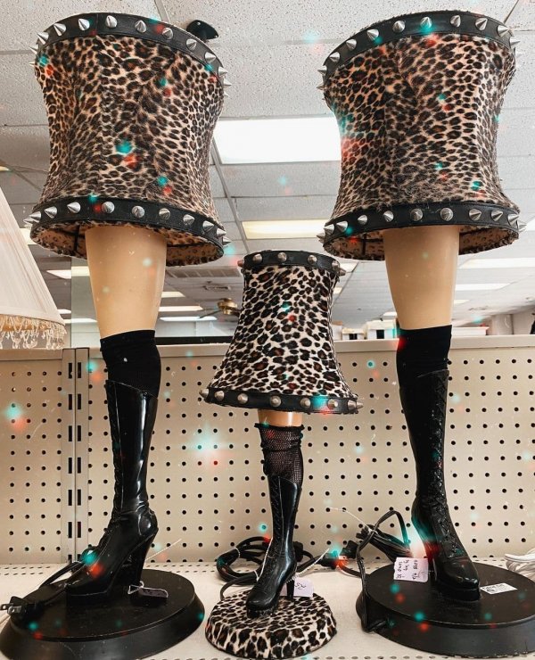 Odd Finds In Thrift Shops (15 pics)