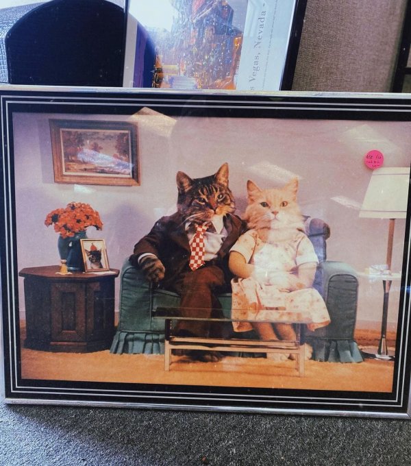 Odd Finds In Thrift Shops (15 pics)
