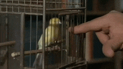Acid GIFs, May 27 (25 gifs)