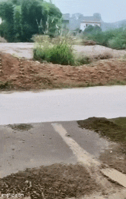 Acid GIFs, May 27 (25 gifs)