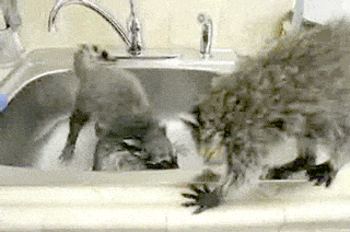 Acid GIFs, May 27 (25 gifs)