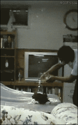 Acid GIFs, May 27 (25 gifs)