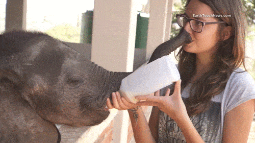 Acid GIFs, May 27 (25 gifs)