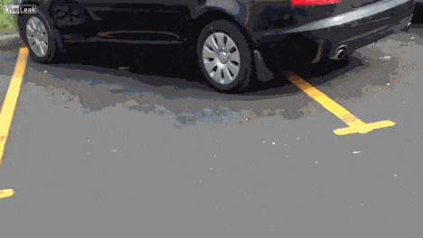 Acid GIFs, May 27 (25 gifs)