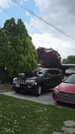 Acid GIFs, May 27 (25 gifs)