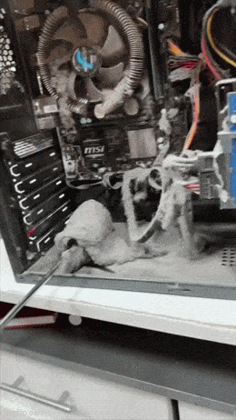 Acid GIFs, May 27 (25 gifs)