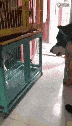 Acid GIFs, May 27 (25 gifs)