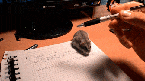 Acid GIFs, May 27 (25 gifs)