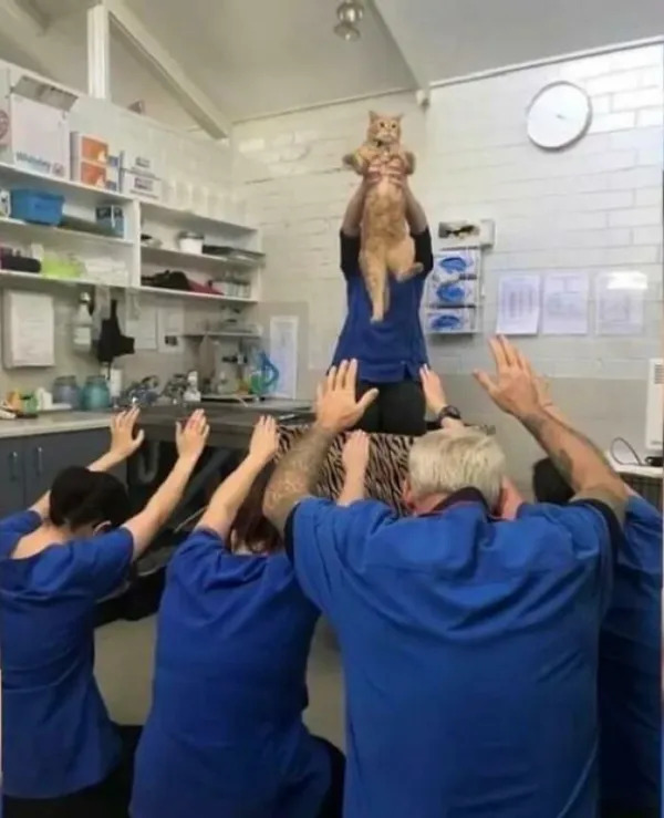 What Is Going On Here? (25 pics) What Is Going On Here? (25 pics)