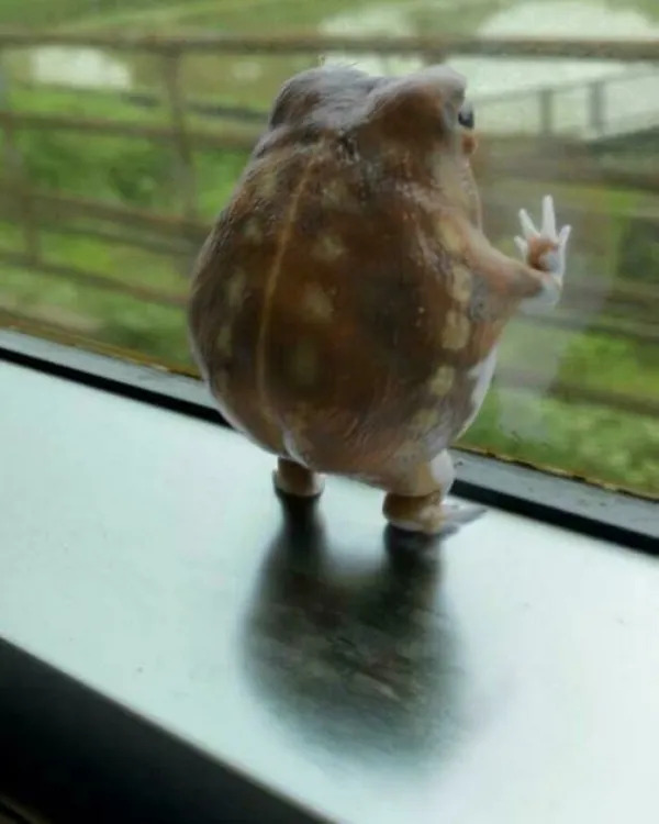 What Is Going On Here? (25 pics) What Is Going On Here? (25 pics)