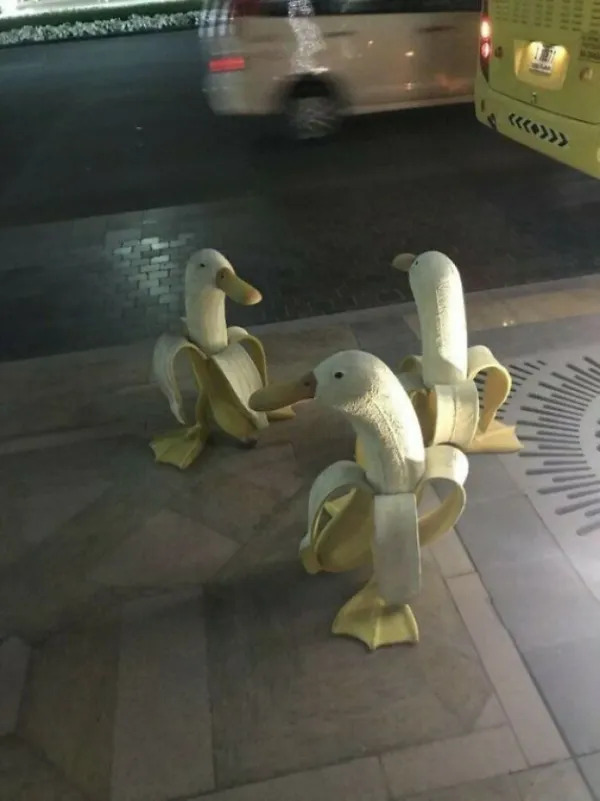 What Is Going On Here? (25 pics) What Is Going On Here? (25 pics)
