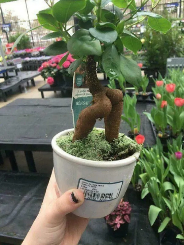What Is Going On Here? (25 pics) What Is Going On Here? (25 pics)