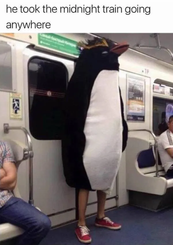 Funny Memes (25 pics)