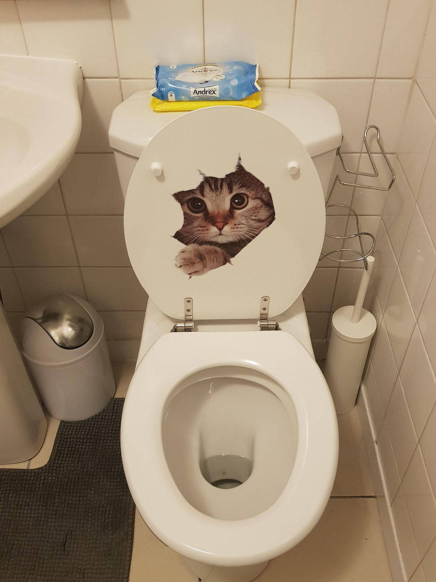 Daily Pictures. Part 1 (73 pics)
