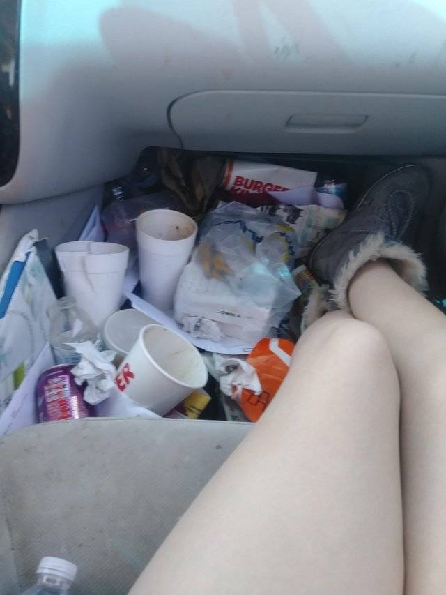 Daily Pictures. Part 1 (73 pics)