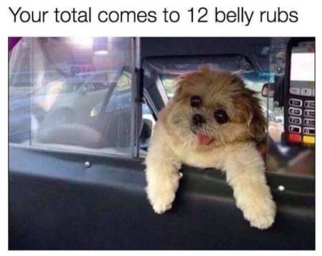 Daily Pictures. Part 2 (72 pics)