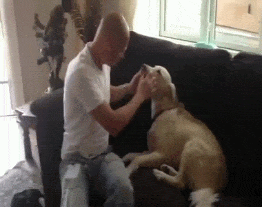 Acid GIFs, May 28 (25 gifs)