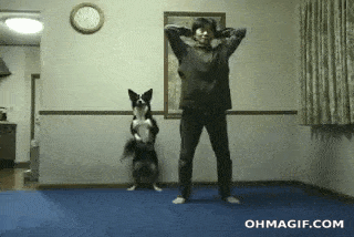 Acid GIFs, May 28 (25 gifs)
