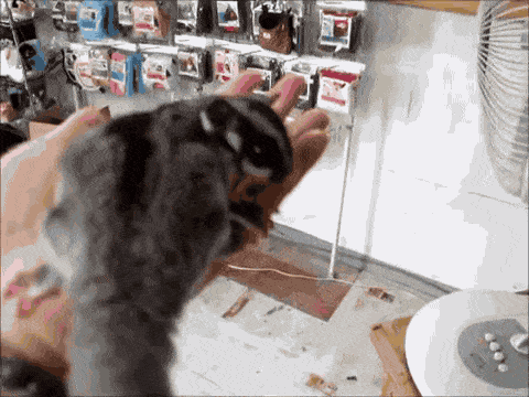Acid GIFs, May 28 (25 gifs)