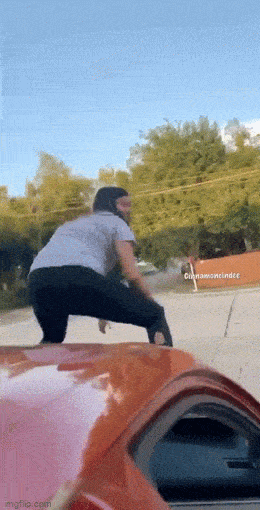 Acid GIFs, May 28 (25 gifs)