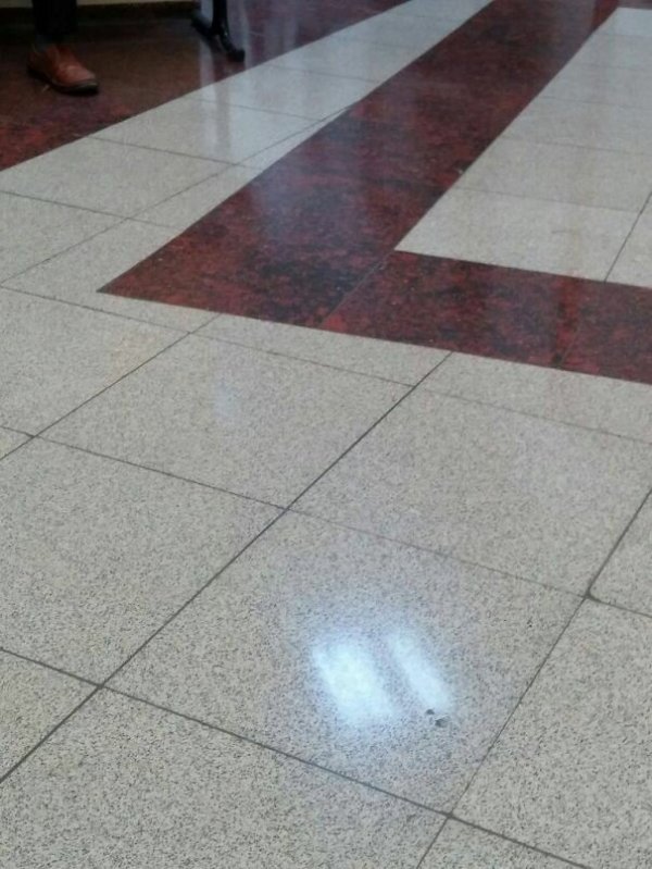 Hell For Perfectionists (25 pics)