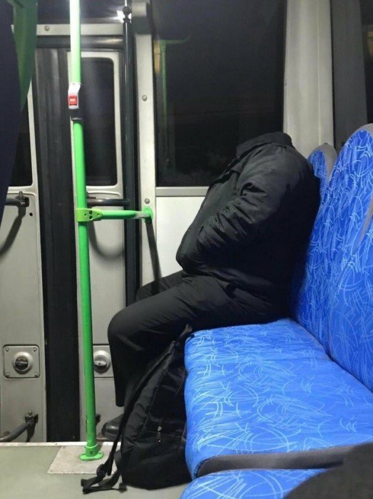 Perfect Camouflage (17 pics)