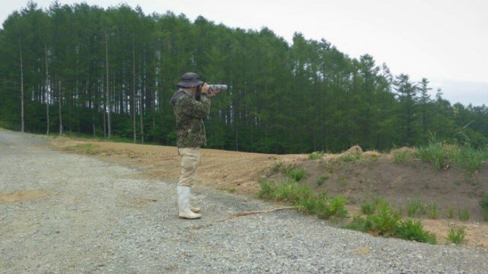 Perfect Camouflage (17 pics)