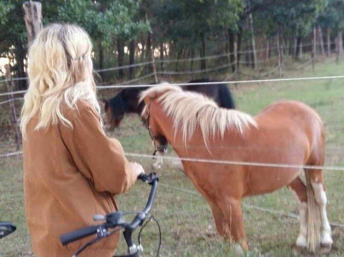 Perfect Camouflage (17 pics)
