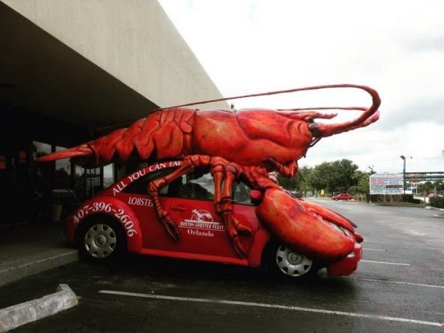 Crazy Cars (19 pics)
