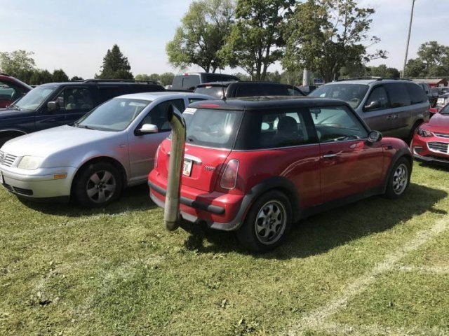 Crazy Cars (19 pics)